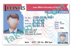 Documents needed for illinois drivers …